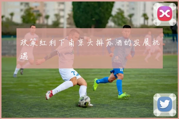政策红利下南京头排苏酒的发展机遇
