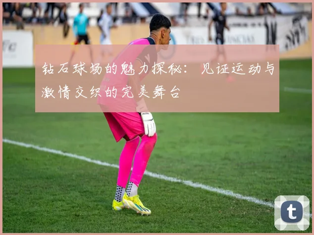 钻石球场的魅力探秘：见证运动与激情交织的完美舞台